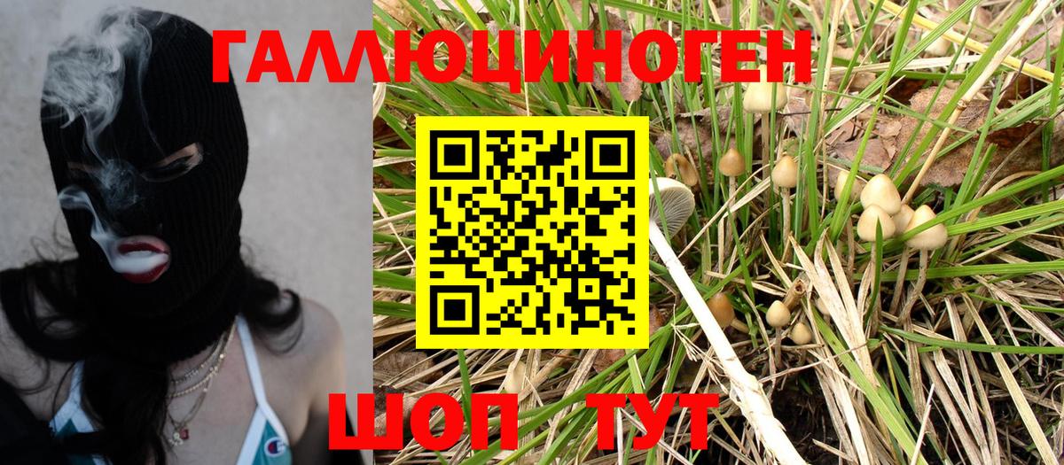 Псилоцибиновые грибы мухоморы Чебаркуль