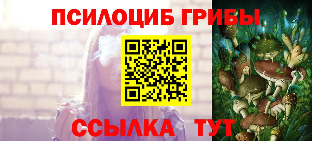 Чебаркуль  Псилоцибиновые грибы Psilocybe  Вход с VPN  Галлюциногенные грибы ЛСД 